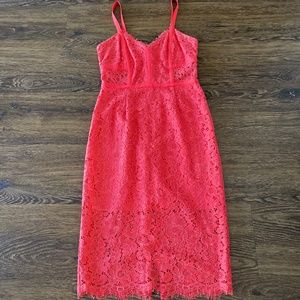 Express Lace dress